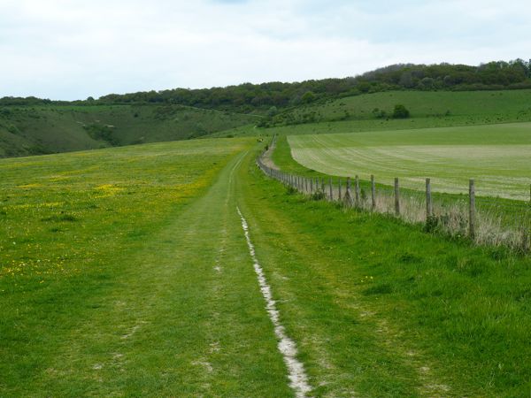 Ashridge Estate and Pitstone Hill circular walk
