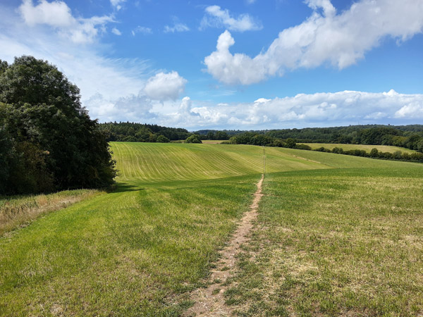 Coleshill circular walk no.3