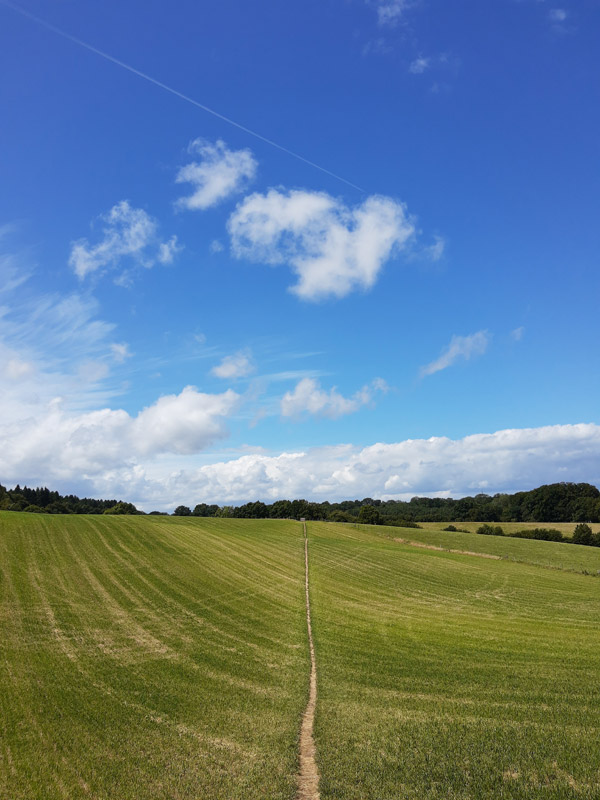 Coleshill circular walk no.3