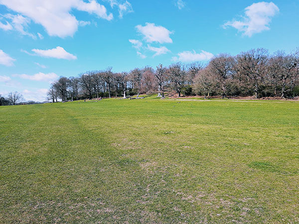 Richmond Park circular walk