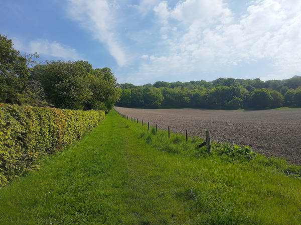 Hambleden circular walk