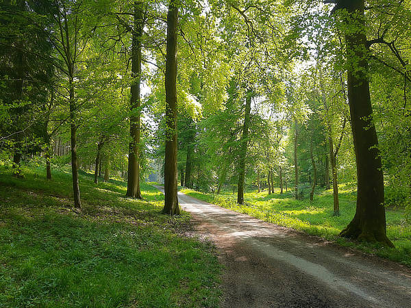 Hambleden circular walk