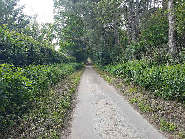 Ludham and Broads circular walk