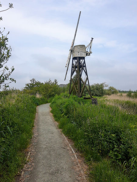Ludham and Broads circular walk