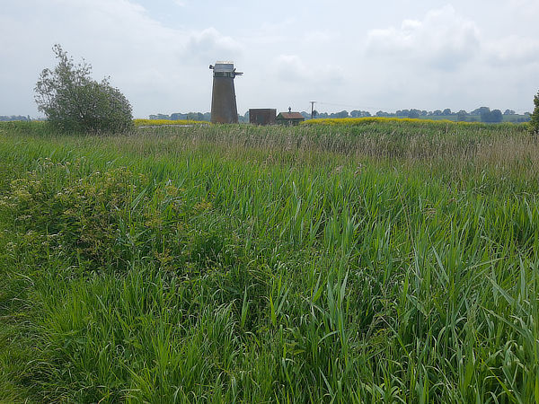 Ludham and Broads circular walk