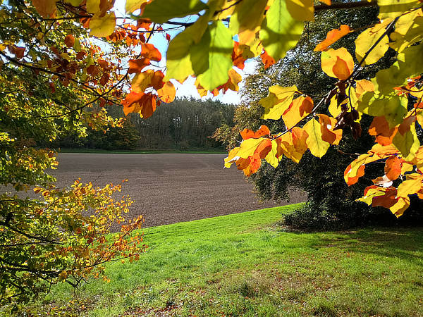 Amersham Cricket Club - Little Missenden circular walk
