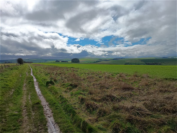 Avebury circular walk