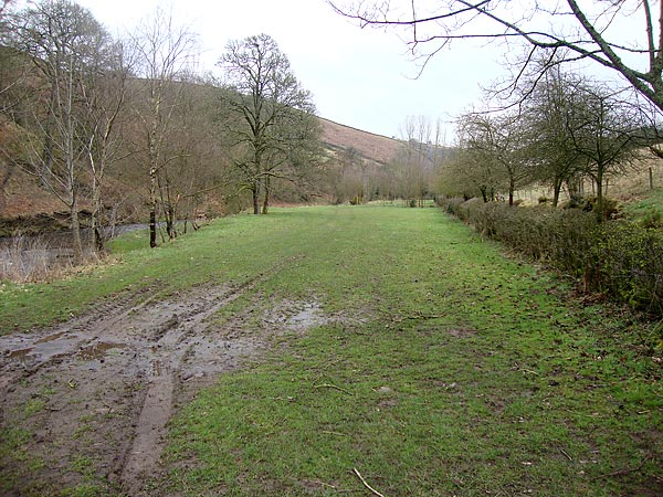 gradbach scout camp